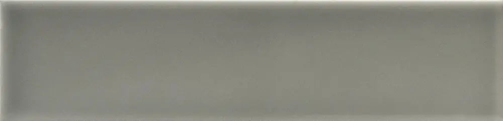 Centura - VIBES - Carreau de céramique - SALVIA FLAT GLOSSY 2 po x 10 po x 8.5 mm