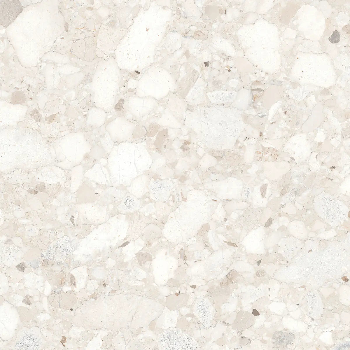 Centura - VENISTONE - Carreau de céramique - IVORY POLI 36 po x 36 po x 10 mm || VIV36PN