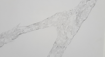 Calacatta Leyla Quartz - 127X64