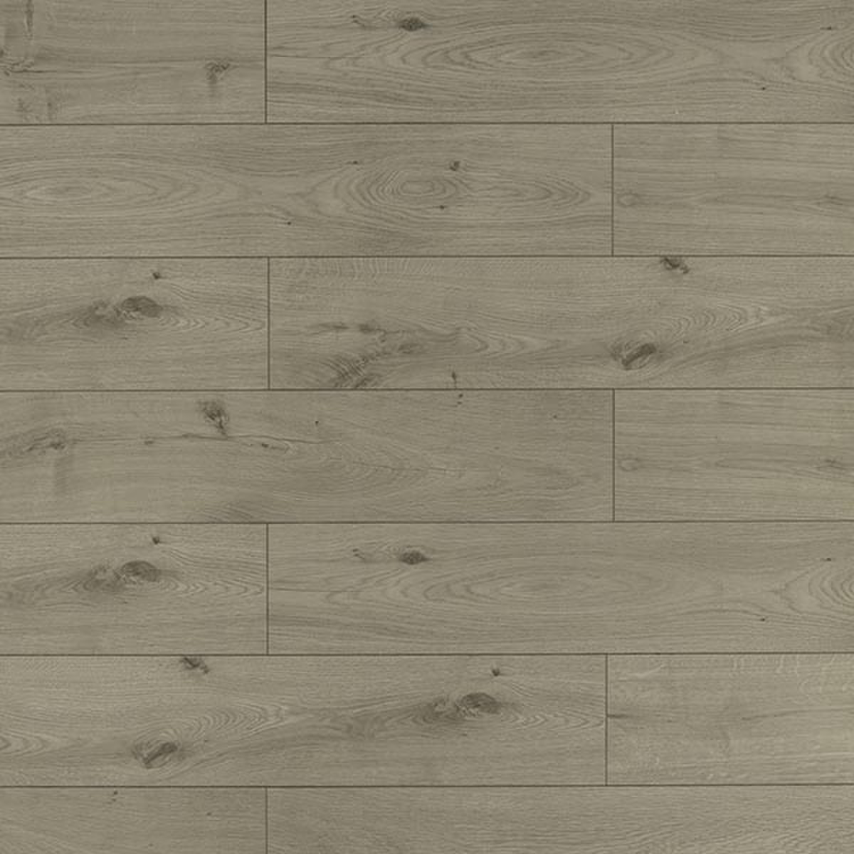 Laminate floor TF3-101 Series 5" x 48"