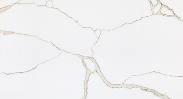 Calacatta Gold Quartz - 127X64