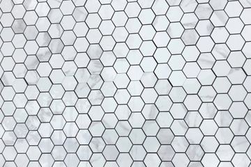 Ceramed - Statuario Hexagon - 12X12 - Ceramed