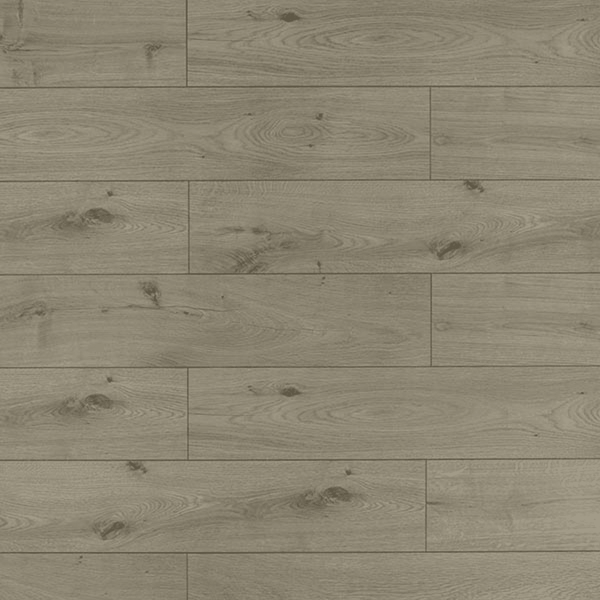 Toucan - Plancher flottant Série TF6019-F - St. Laurent / 7.7" x 48" x 0.48" - Ceramed